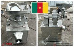 Cocoa Bean Powder Grinder Machine to Cameroon